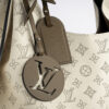 Louis Vuitton Carmel Hobo Shoulder Bag